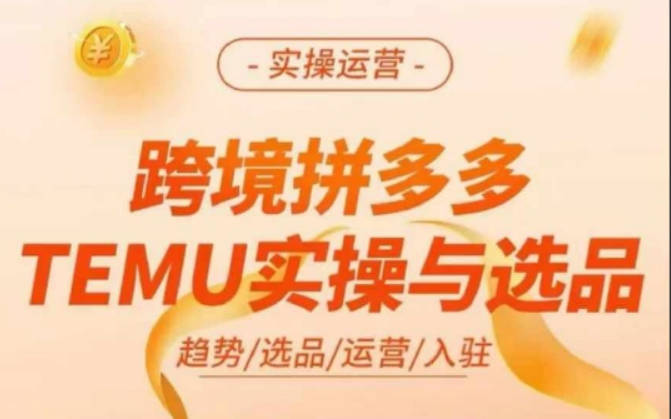 跨境拼多多TEMU实操与选品，多多temu跨境选品运营实操