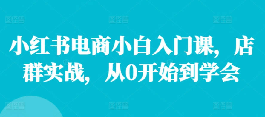 小红书电商小白入门课，店群实战，从0开始到学会