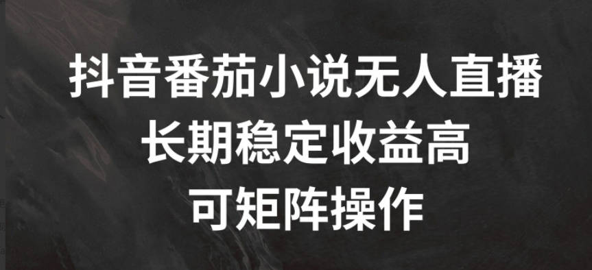 抖音番茄小说无人直播，长期稳定收益高，可矩阵操作【项目拆解】