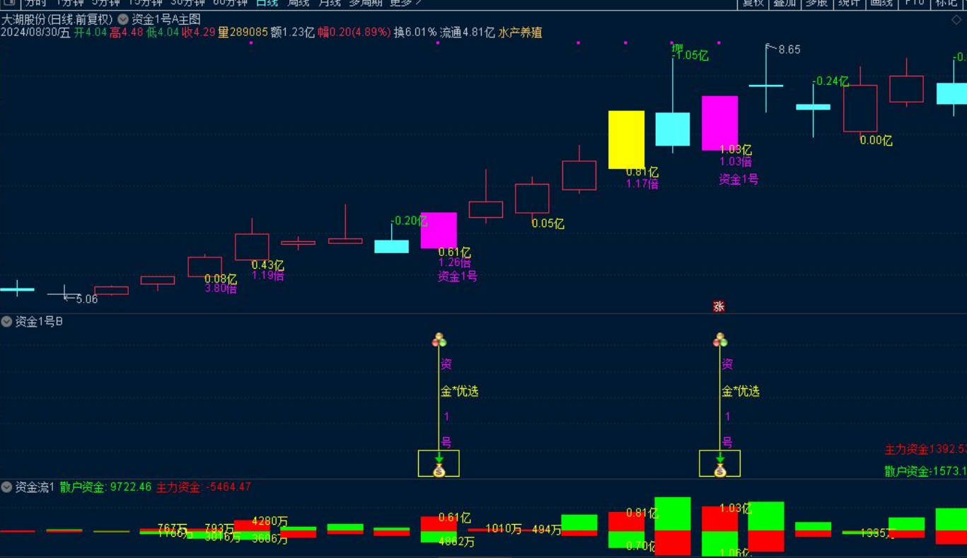 叶梵宸指标2024资金1号【每天盘中 主选①支】《无忧版》《K线追踪主散因果》