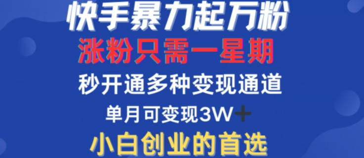 快手暴力起万粉，涨粉只需一星期，多种变现模式，直接秒开万合，单月变现过W