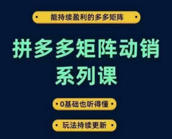 拼多多矩阵动销系列课，能持续盈利的多多矩阵，0基础也听得懂，玩法持续更新