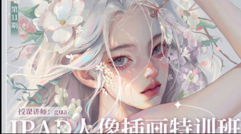 gua老师基础特训班第11期2023年12月结课【画质高清有笔刷】