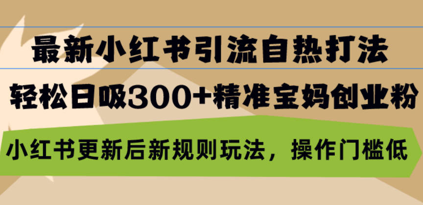 最新小红书引流自热打法，轻松日吸300+精准宝妈创业粉，小红书更新后新规则玩法