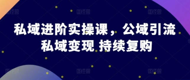 私域进阶实操课，公域引流 私域变现 持续复购-郑鹏飞-飞哥电商