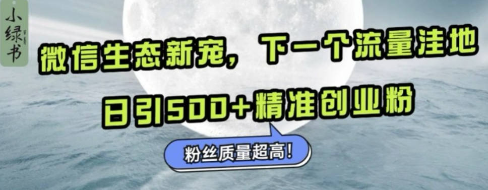 微信生态新宠小绿书：下一个流量洼地，日引500+精准创业粉，粉丝质量超高