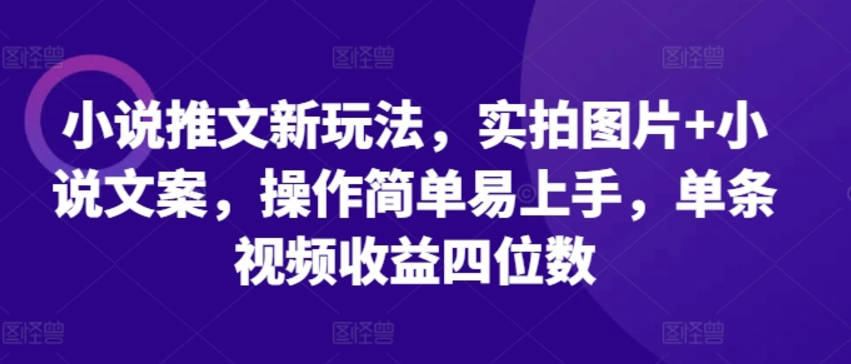 小说推文新玩法，实拍图片+小说文案，操作简单易上手，单条视频收益四位数