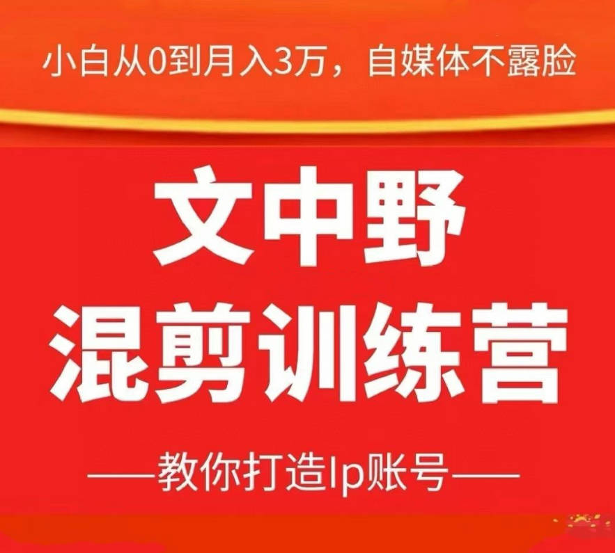 文中野混剪训练营 教你不露脸不直播，通过混剪打造IP账号