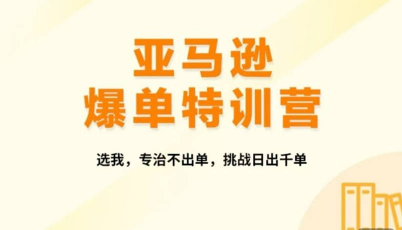 2024年亚马逊爆单特训营，专制不出单，挑战日出千单