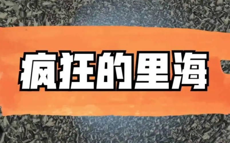 疯狂的里海投资周记里海的直播2024.11