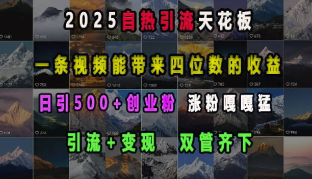 2025自热引流天花板，一条视频能带来四位数的收益，引流+变现双管齐下，日引500+创业粉，涨粉嘎嘎猛