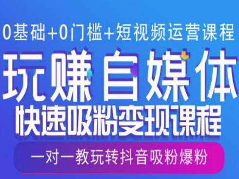 0基础+0门槛+短视频运营课程，玩赚自媒体快速吸粉变现课程，一对一教玩转抖音吸粉爆粉