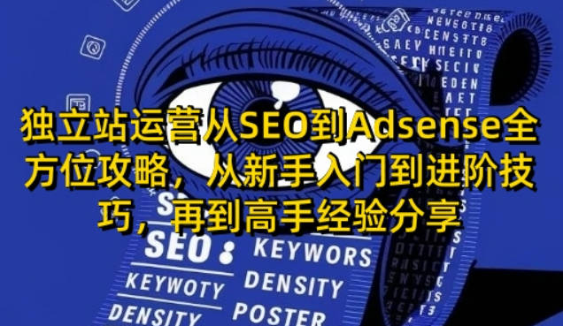 独立站运营从SEO到Adsense全方位攻略，从新手入门到进阶技巧，再到高手经验分享