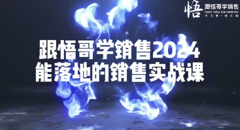 悟哥·2024能落地的销售实战课，你的销售系统该升级了