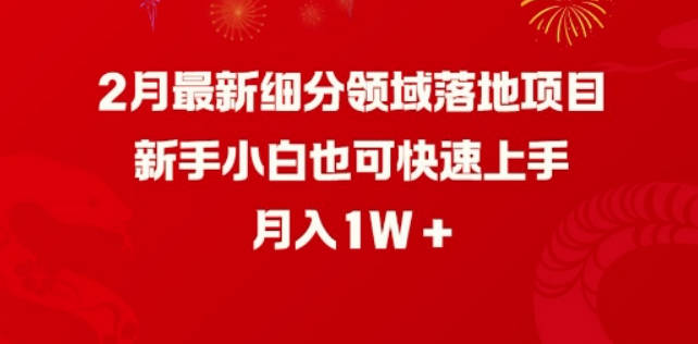 2月最新细分领域落地项目，新手小白也可快速上手，月入1W【揭秘】