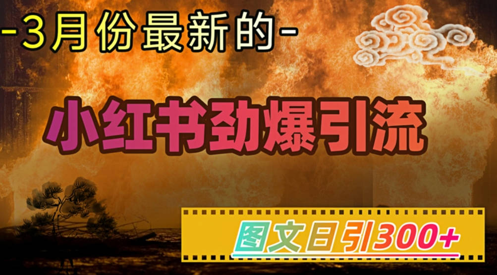 小红书超劲爆引流手段，图文日引300+轻松变现1W【揭秘】